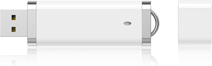 KEXIN 50 Pack 4GB Flash Drive - 4GB USB Pen Drive Memory Stick - 50 Pieces White (4G50PCS)