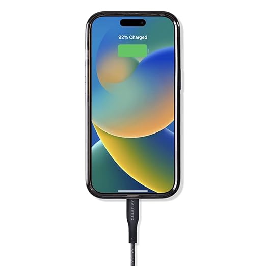 CASETiFY Powerthru USB-C to USB-C Cable (1m/3.3ft) - Black