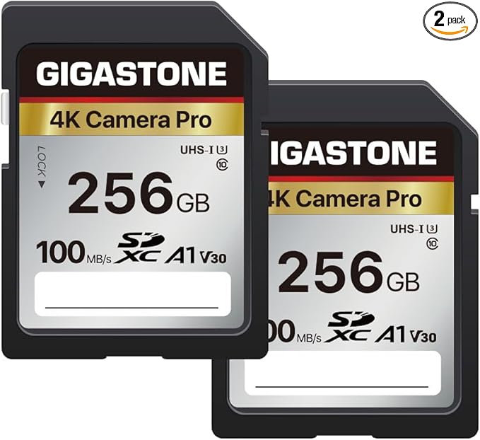 [5-Yrs Free Data Recovery] GIGASTONE 256GB 2-Pack SD Card, 4K Camera Pro, A1 V30 SDXC Memory Card 4K UHD Video Compatible with Canon Digital Camera, with 2 Mini Cases