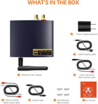 1Mii HiFi Bluetooth 5.3 Music Receiver for Home Stereo with LDAC, Bluetooth Audio Adapter with Audiophile DAC aptX HD, RCA Optical Output for AV Receiver or Stereo Amplifier - DS200Pro Blue
