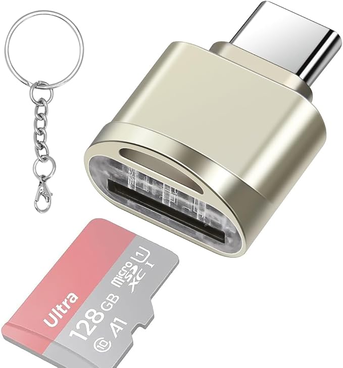 leizhan Type C Micro SD/TF Card Reader with Keychain,USB C to Micro SD SDHC SDXC OTG Memory Reader, Type C Card Reader Adapter Compatible for Mac Windows Lixus Samsung Galaxy - Silver