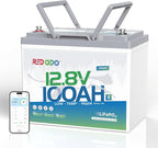 Redodo 12V 100Ah LiFePO4 Battery Bluetooth, Low-Temp Protection BCI Group 24 Lithium Battery for Trolling Motor, Bulit-in 100A Smart BMS, Perfect for Marine, Boat, RV, Solar and Off Grid