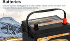Weize Platinum AGM Battery BCI Group 35 Automotive Battery, 100RC, 650CCA, 36 Months Warranty