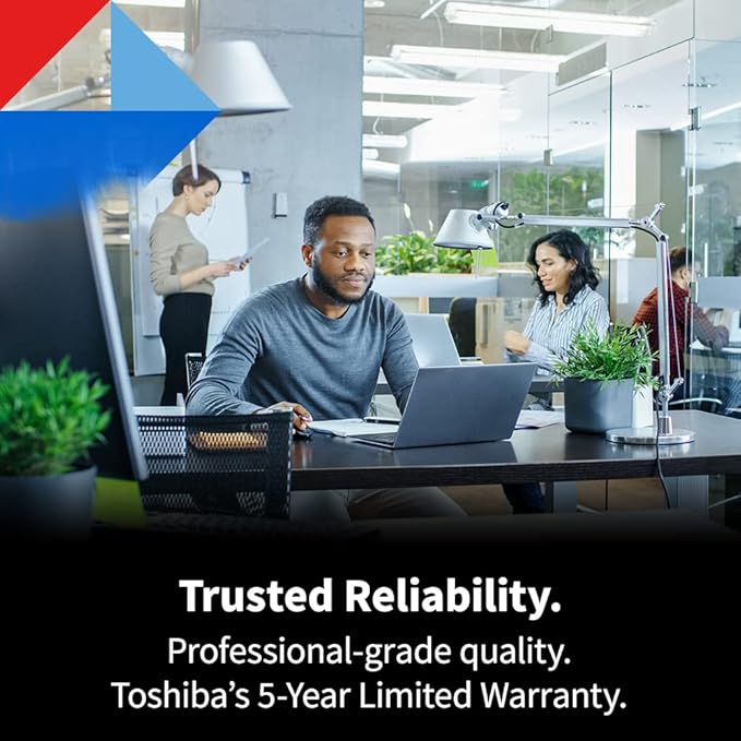 Toshiba N300 PRO 6TB Large-Sized Business NAS (up to 24 Bays) 3.5-Inch Internal Hard Drive - Up to 300 TB/Year Workload Rate CMR SATA 6 GB/s 7200 RPM 512 MB Cache - HDWG760XZSTB