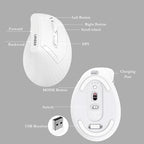 Vertical Wireless Mouse,Bluetooth Mouse with BT5.0/4.0/2.4G, Rechargeable Mouse with Battery Indicator,Ergonomic Design for Comfort and Reduced Wrist Strain, Ideal for Home& Office Use (White)