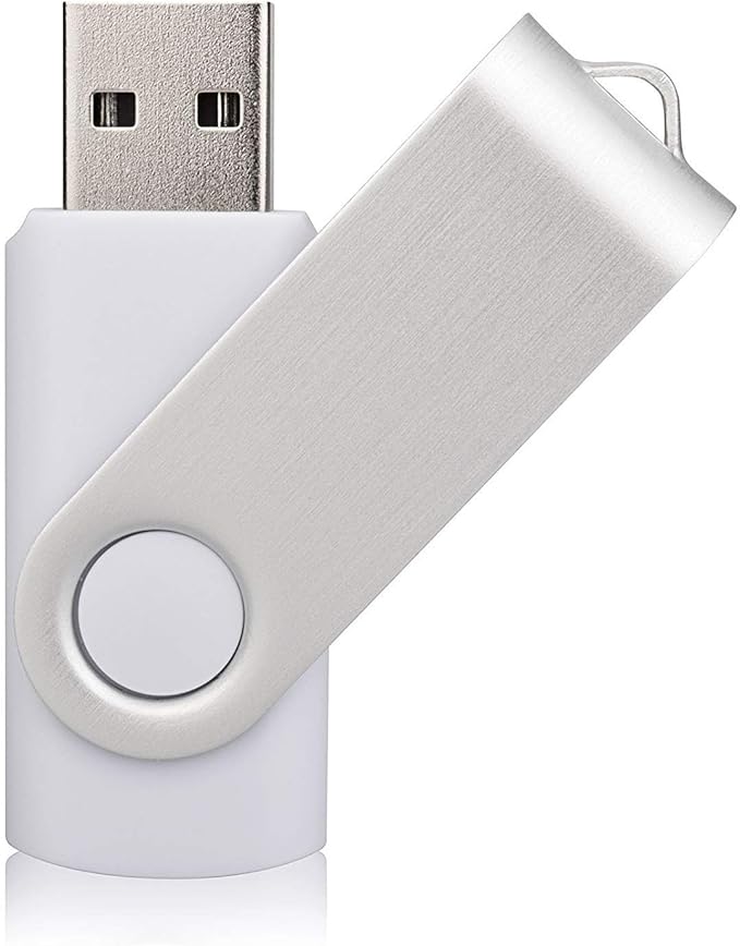 Aiibe 10 Pieces 32GB USB Flash Drive 10 Pack USB 2.0 Memory Stick Thumbdrives (Mix Colors : Black Blue Red Green Orange White Yellow Pink Purple Silver)