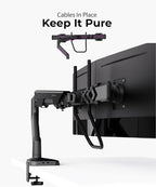 Dual Monitor Arm Desk Mount with Gas Spring & USB Charging, Fits 17–32” inches Screens up to 33 lbs, VESA 75x75/100x100, Crossbar Handle for Easy Adjustment, Black, Dual