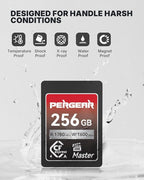 Pergear 256GB CFexpress 4.0 Type A Memory Card VPG200, Up to 1780MB/s Read Speed & 1600MB/s Write Speed for 4K 120P, 8K 30P Video Recording(Master Series), Compatible for Sony Alpha & FX Cameras