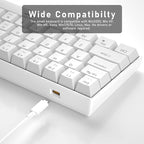 60% Mechanical Gaming Keyboard, White Gaming Keyboard with Red Switches, Detachable Type-C Cable Mini Keyboard with Blue LED Light for/PC/Laptop