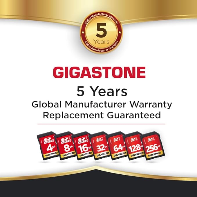 GIGASTONE 64GB SD Card 2-Pack UHS-I U1 Class 10 SDXC Memory Card High Speed Full HD Video Canon Olympus Digital Camera with 2 mini Cases