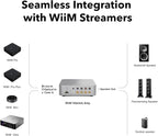 WiiM Vibelink Amp | 100W Power Amplifier with Premium ESS 9039Q2M DAC and TI TPA3255 | Compatible with WiiM Mini, Pro, Pro Plus, and Ultra | RCA, Coax, and Optical Inputs | Silver