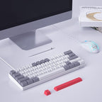 60% Mechanical Gaming Keyboard,Mixed Color Keycaps Gaming Keyboard with Red Switches, Detachable Type-C Cable Mini Keyboard with Blue LED Light for PC/Laptop