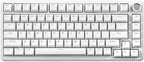 YUNZII B75 Mechanical Keyboard,75% Layout with Knob,Hot Swappable RGB Backlit Gasket Mounted, Creamy Typing, Double-Shot PBT Keycaps,Cherry Profile,for Win/Mac (White, Blue Grey Tactile Switch)