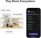 WiiM Pro Plus AirPlay 2 Receiver, Google Cast Audio, Multiroom Streamer with Premium AKM DAC, Voice Remote, Works with Alexa/Siri/Google, Stream Hi-Res Audio from Spotify, Amazon Music, Tidal and More