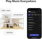 WiiM Mini AirPlay 2 Wireless Audio Streamer, Multiroom Stereo, Preamplifier, Works with Alexa and Siri Voice Assistants, Stream Hi-Res Audio from Amazon Music, Tidal and More