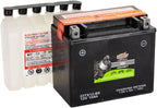 Interstate Batteries YTX12-BS 12V 10Ah Powersports Battery 175CCA AGM Rechargeable Replacement for Honda, Kawasaki, Suzuki Motorcycles, Scooters, Bikes, ATVs, UTVs (CITX12-BS)