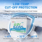 Redodo 12V 100Ah LiFePO4 Battery Bluetooth, Low-Temp Protection BCI Group 24 Lithium Battery for Trolling Motor, Bulit-in 100A Smart BMS, Perfect for Marine, Boat, RV, Solar and Off Grid - 3 Pack