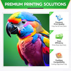 PGI-230XL CLI-231XL High Yield Ink Cartridge Combo 5 Pack Compatible for PGI 230 CLI 231 XL Ink Cartridges to use with PIXMA TS8820 Inkjet Printer (PGBK, Black, Cyan, Magenta, Yellow)