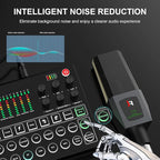 RHM Podcast Equipment Bundle, All-in-One Audio Interface DJ Mixer with Microphone, Stand, Monitor Earphone, Audio Mixer With Sound card for PC/Laptop/Phone, Streaming/Podcasting/Gaming (M9 Set)