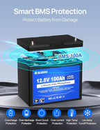 DC HOUSE 12V 100Ah LiFePO4 Lithium Battery, Bluetooth & Low Temp Cut-Off, Group 31 Lithium Battery, Up to 15000 Cycles, 100A BMS, Perfect for Trolling Motors, Marine, Boat, Solar