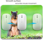 A Cute Animal on The Grass Mouse Pad Mat Rectangle Mousepad for Computer Laptop Home Office