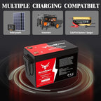 12V 300Ah Golf Cart Lithium LiFePO4 Battery with 200A BMS Grade A Cells Deep Cycle Rechargeable Battery,10000+ Cycles,Perfect for Golf Cart,Off Grid Applications (12.8V 300Ah-BLU)