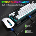 Snpurdiri 60% Wireless Gaming Keyboard and Mouse Combo,Ice Blue Backlit Rechargeable 2000mAh Battery,Mini Mechanical Feel Anti-ghosting Keyboard + Popular RGB Mice for Gaming, Office(White-Black)