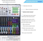 W IN-MIX Professional DJ Audio Mixer,10 Channel with 99DSP Digital Effects, MP3 Player, 48V Phantom Power with Independent Mute Switches Audio Console For Studio & Stage