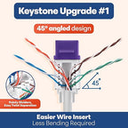 Everest 45° Angled RJ45 Cat6 Keystone Jacks 50-Pack in Purple - Slim Profile Female RJ45 Connectors - Cat 6 Keystone Jack - Compatible with 45° Angled Speed Termination Tool - 45Term (B0BL3GS7ZY)