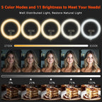 10" LED Ring Light with Overhead Phone Stand, CRI≥95 1200lm Dimmable Lighting, Adjustable Metal Arm with Remote & Phone Holder, for Streaming, Makeup, Zoom Calls, Photography
