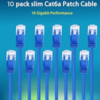 Rapink Cat6a 2ft Ethernet Patch Cables (10 Pack), Slim, Flexible, 10G Support, Gold Plated, Cat6a Ethernet Cable for Patch Panel to Switch, Space Saving, High Density Environments