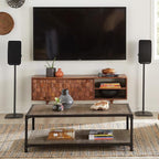 SANUS Wireless Speaker Stand for Sonos Five and Sonos Play:5 - Audio Enhancing Design for Vertical & Horizontal Audio with Built-in Cable Management & Premium Alloy Materials WSS52-W2 (Black)