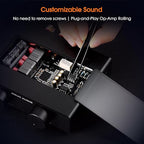 Douk Audio A5 2 Channel TPA3255 Stereo Amp, 300 Watts x2 Mini Hi-Fi Audio Power Amplifier Class D for Home Theater System, Passive Bookshelf Tower Speakers with High-Pass Filter + 32V Power Supply