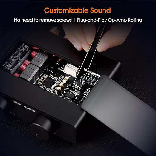 Douk Audio A5 2 Channel TPA3255 Stereo Amp, 300 Watts x2 Mini Hi-Fi Audio Power Amplifier Class D for Home Theater System, Passive Bookshelf Tower Speakers with High-Pass Filter + 32V Power Supply