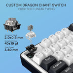 Redragon K689 Wired Gasket RGB Gaming Keyboard, 108 Keys Mechanical Keyboard w/Extra 4 Hotkeys, Upgraded Hot-swappable Socket, 3-Layer Noise Dampening, Mixed Color Keycaps, Custom Linear Switch