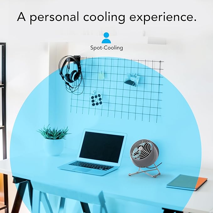 Vornado VFAN™ Mini Modern Vintage Fan, Retro Metal Air Circulator, Fan for Desk & Bedside, 2 Speeds, Adjustable Tilt, Personal Cooling with Targeted Airflow, Quiet Fan, Storm Gray