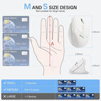 PHILIPS Ergonomic Mouse - Vertical Mouse with 800/1200/1600 Adjustable DPI, 6 Silent Buttons, Auto Power Saving,Light Weight,2.4GHz Wireless Mouse for Laptop,Desktop, PC- White