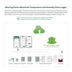 Freshliance Temperature Humidity Data Logger Recorder Bluetooth with 2pcs External Probe, Digital Refrigerator Thermometer Hygrometer, Remote Data Recording Analysis Alarm by Smart APP,BlueTag TH30R-I