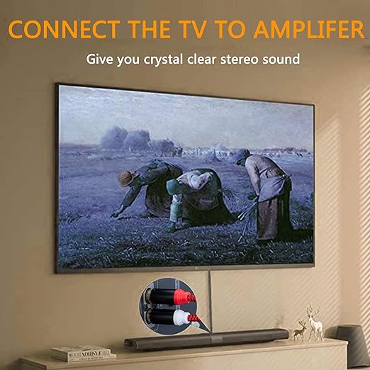 RCA Cable 40Ft,2Rca Male to 2-RCA Male Audio Stereo Subwoofer Cable [Hi-Fi Sound] Nylon-Braided Auxiliary Audio Cord for Home Theater, HDTV, Amplifiers, Hi-Fi Systems,Speakers and etc(40Ft/12M)
