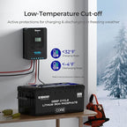 Renogy 24V 100Ah BMS LiFePO4 Self-Heating Deep Cycle Lithium Battery, Over 5000 Cycles, Backup Power Perfect for Trolling Motors, RV, Marine and Other Off-Grid System
