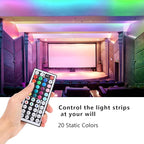 44 Key RGB LED Strip Light Remote Controller, IR Remote Controller Replacement for SMD 5050 3528 2835 RGB LED Light Strip Lights (2 Pack)