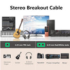 Devinal TRS to Dual TS Breakout Cable - 1/4" Female Stereo to Dual 6.35mm TS Male Adapter & 6.35mm Female to 2 x 1/4" Mono Y Splitter - 1 ft