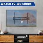 TV Wire Hider Kit for Wall Mount TV, White in Wall Cable Management Kit, Includes 2 Pass Throughs and Hole Saw Drill Attachment for Easy Install(Black) (RO-YCX-2P-BK)
