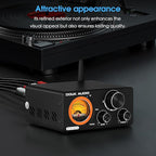 Douk Audio 2 Channel TPA3255 Bluetooth Amplifier 300W x2, Turntable Phono Amp with VU Meter, Treble Bass Control for MM Record Players, Home Theater Speakers (ST-01 Plus)