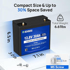 DC HOUSE 2 Pack 12V 30Ah LiFePO4 Lithium Battery, Low Temp Cut-Off, 4000+ Deep Cycle Rechargeable Battery, Perfect for Scooter Pride Mobility Jazzy Select Electric Wheelchair, Trolling Motor