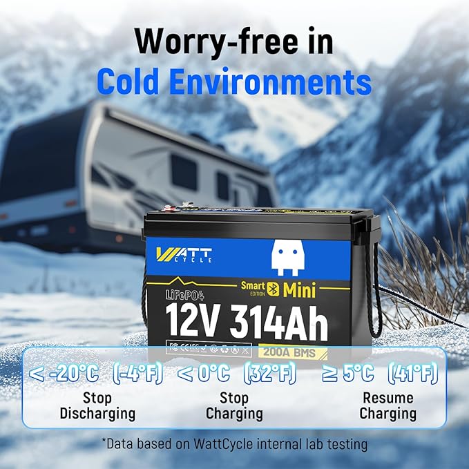 Mini LiFePO4 Lithium Battery 12V 314Ah 2 Pack Built-in 200A BMS & Bluetooth, 4.01kWh Energy, Perfect for Off-Grid, RV, Solar System, Camper, Travel Trailer
