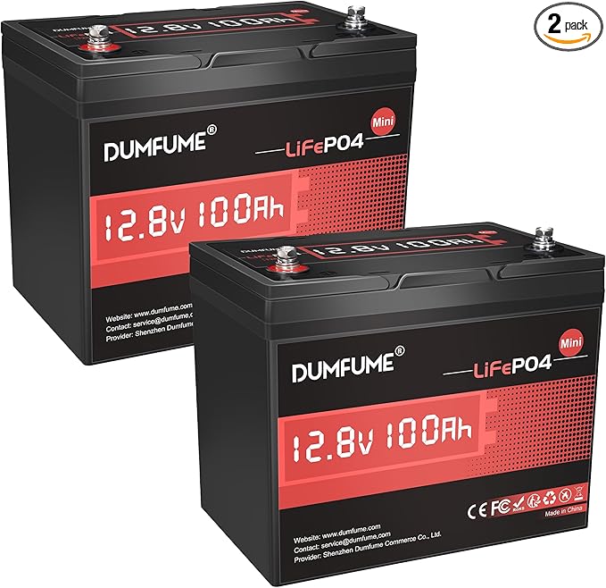 2 pack 12V 100Ah Mini LiFePO4 Lithium Battery,100A BMS 1280Wh BCI Group 24 Lithium Iron Phosphate Battery 6000+ Cycles Perfect for RV, Solar, Marine and Home Energy Storage