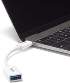 Amazon Basics USB-C to USB-A 3.1 Gen1 Female Adapter Cable Converter, 5Gbps High-Speed, USB-IF Certified, for Laptops, Tablets, Phones (iPhone 16/15), White