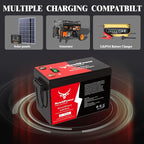 12V 300Ah Golf Cart Lithium LiFePO4 Battery with 200A BMS Grade A Cells Deep Cycle Rechargeable Battery,10000+ Cycles,Perfect for Golf Cart,Off Grid Applications (12.8V 300Ah)