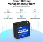 DC HOUSE 2 Pack 12V 30Ah LiFePO4 Lithium Battery, Low Temp Cut-Off, 4000+ Deep Cycle Rechargeable Battery, Perfect for Scooter Pride Mobility Jazzy Select Electric Wheelchair, Trolling Motor